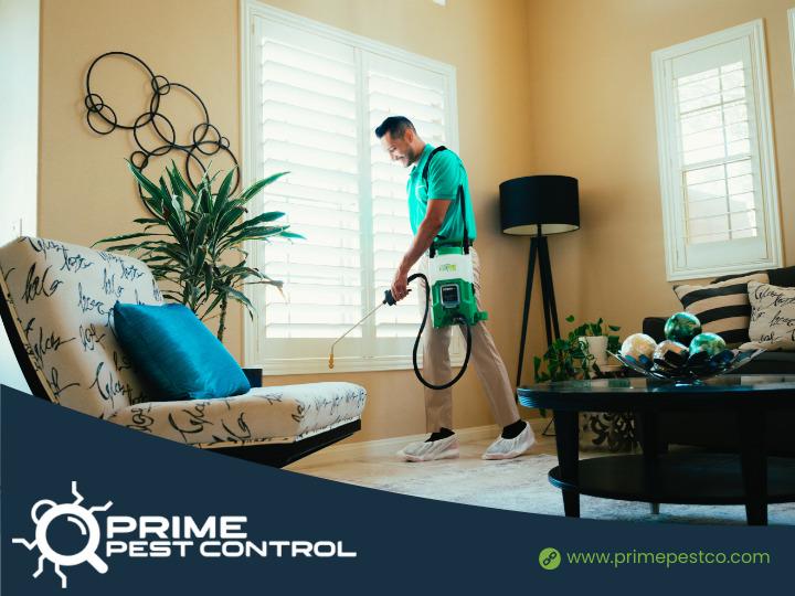 Images Prime Pest Control Las Vegas