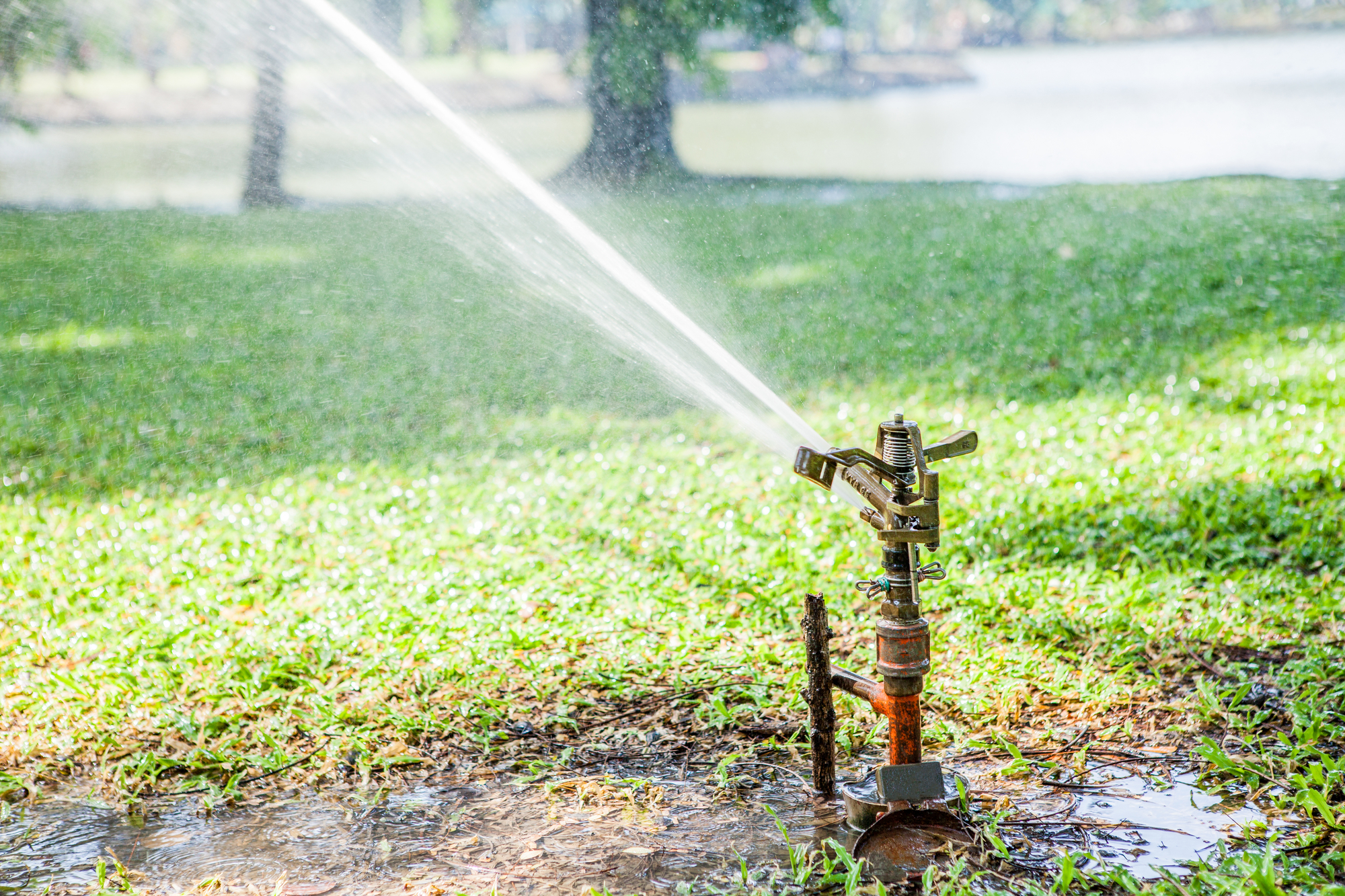 A high-capacity impact sprinkler rotor spraying a powerful stream of water across a large green turf lawn.