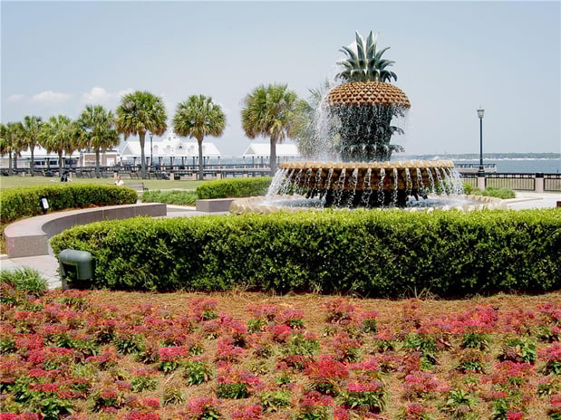 Images DoubleTree by Hilton Charleston Riverview
