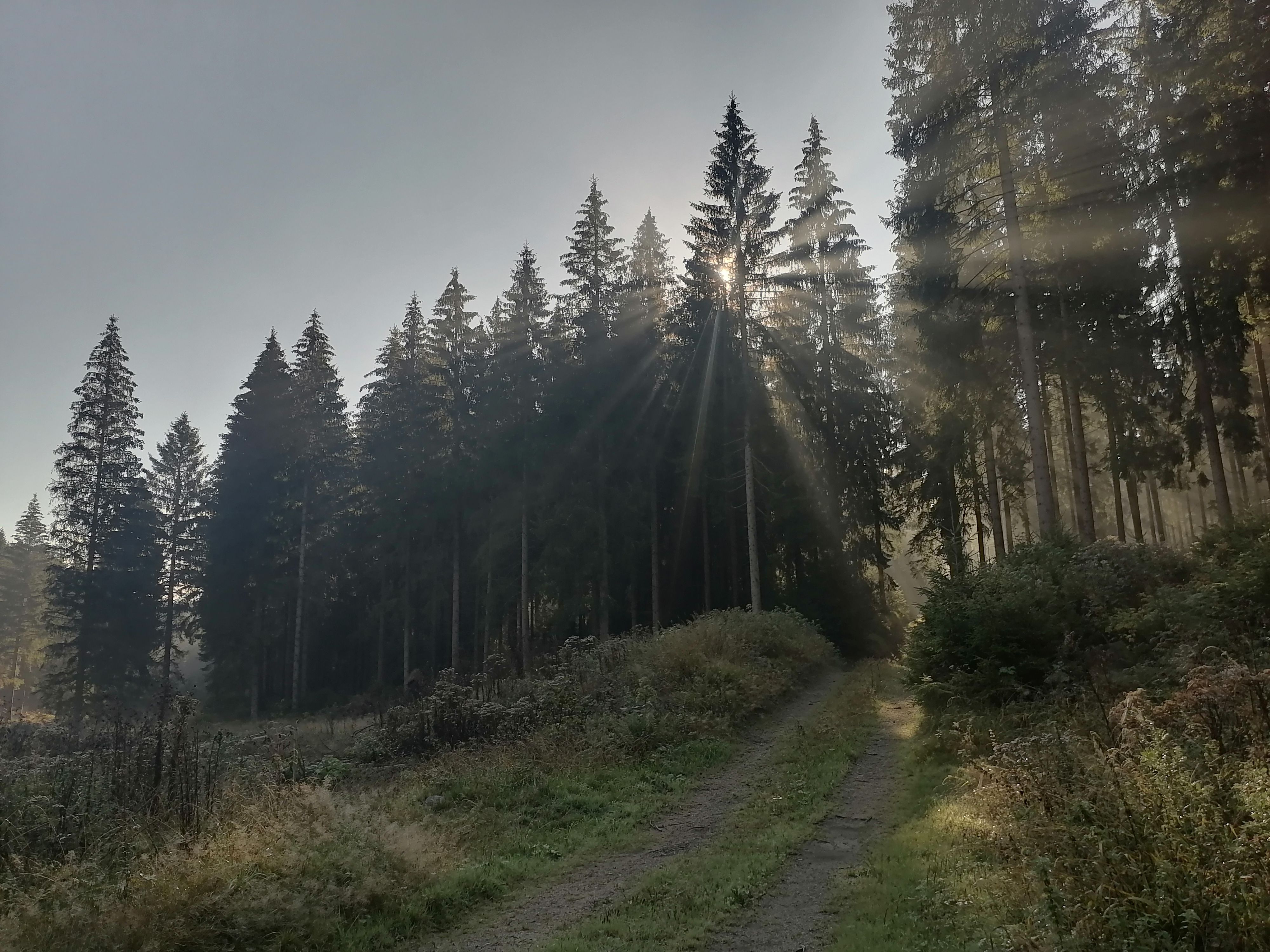 fotografie.erz, AS-Zugstr. 32 in Marienberg