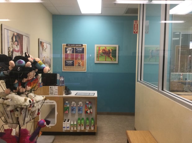 Images Petco Grooming