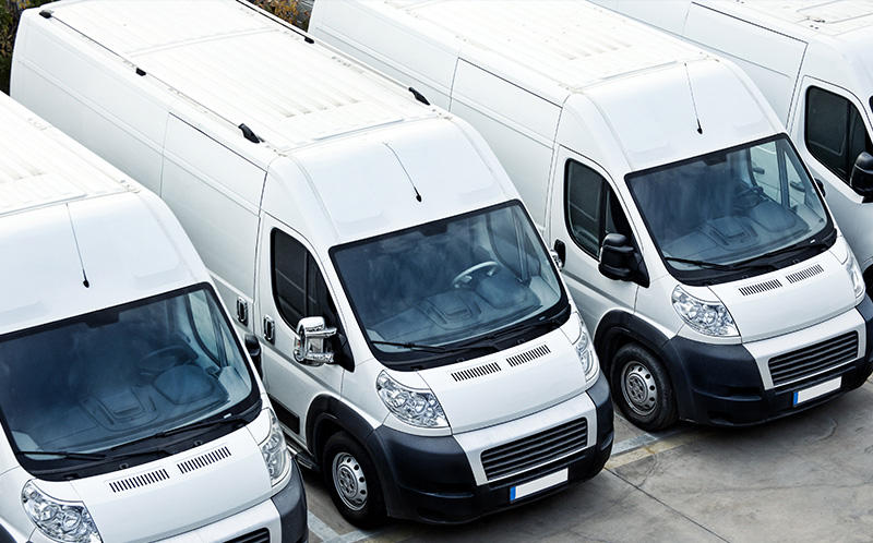 Trans Fair Express UG, Essener Strasse 74 in Gelsenkirchen