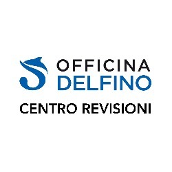 Centro Revisioni Delfino Giacomo - Luigino Logo