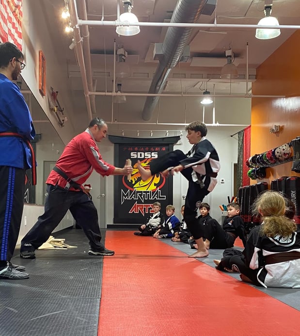 Images SDSS Martial Arts of Greenwich