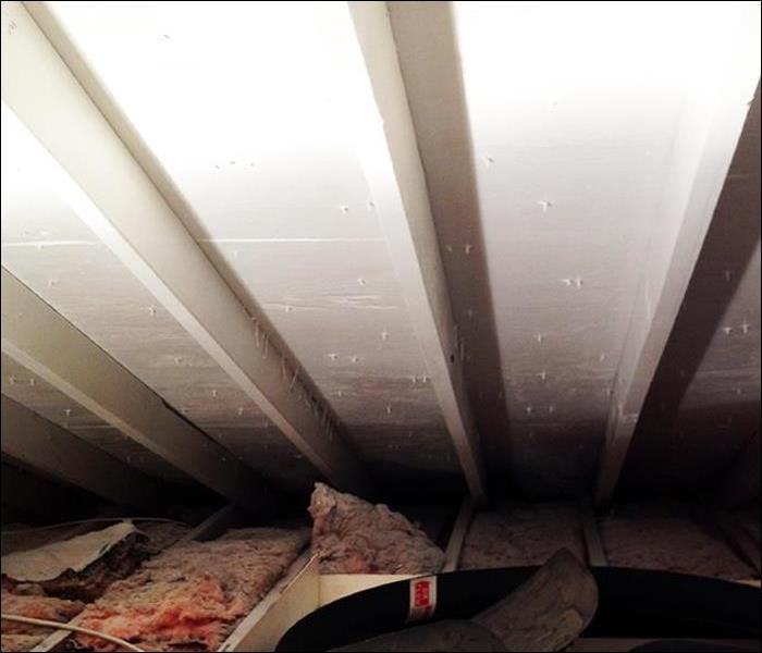 Attic Rafter Mold Remediation, in West Milford, NJ