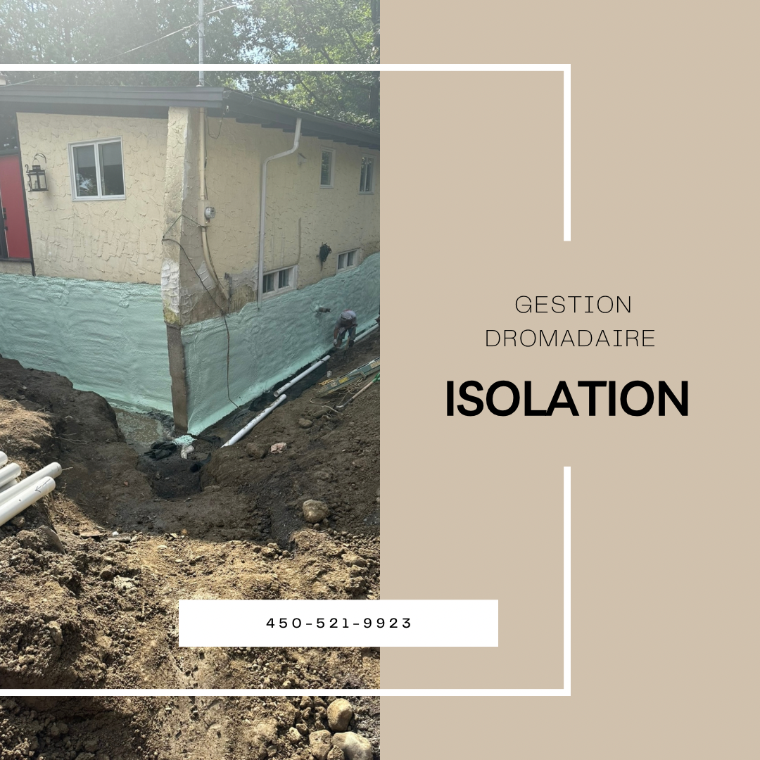 Images Gestion Dromadaire Inc
