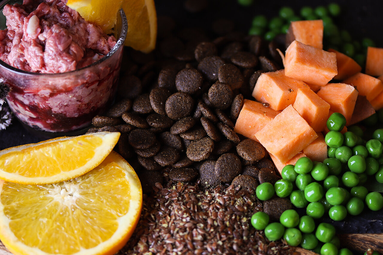 Bilder Green Pet Shop