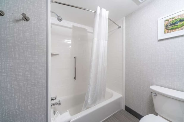 Images Hampton Inn & Suites Conway