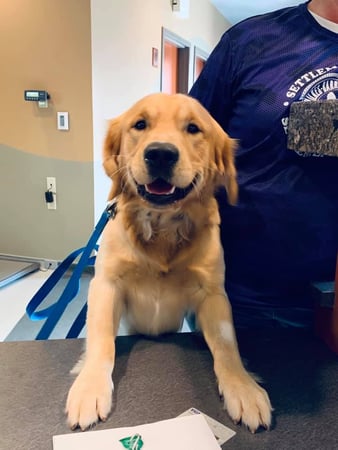 Images West Side Veterinary Hospital
