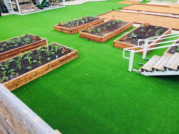 Images Texas Turf & Curb
