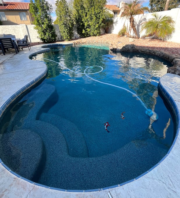Images Seahorse Pools LLC