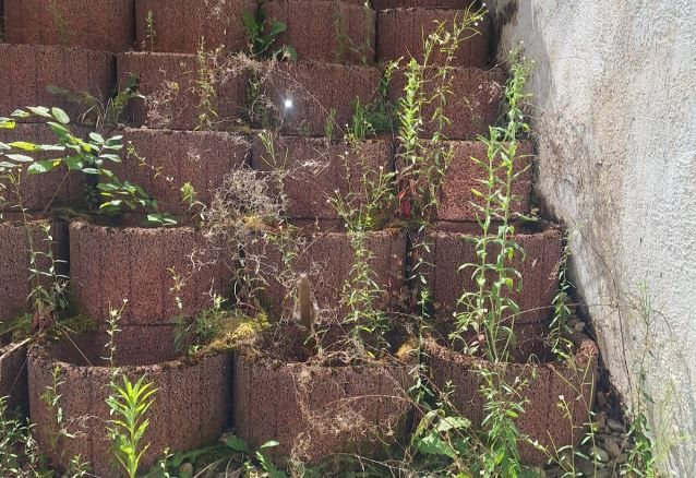 Bilder Gebäudereinigung Giuseppe Musso Moers Die Kunst des Reinigens