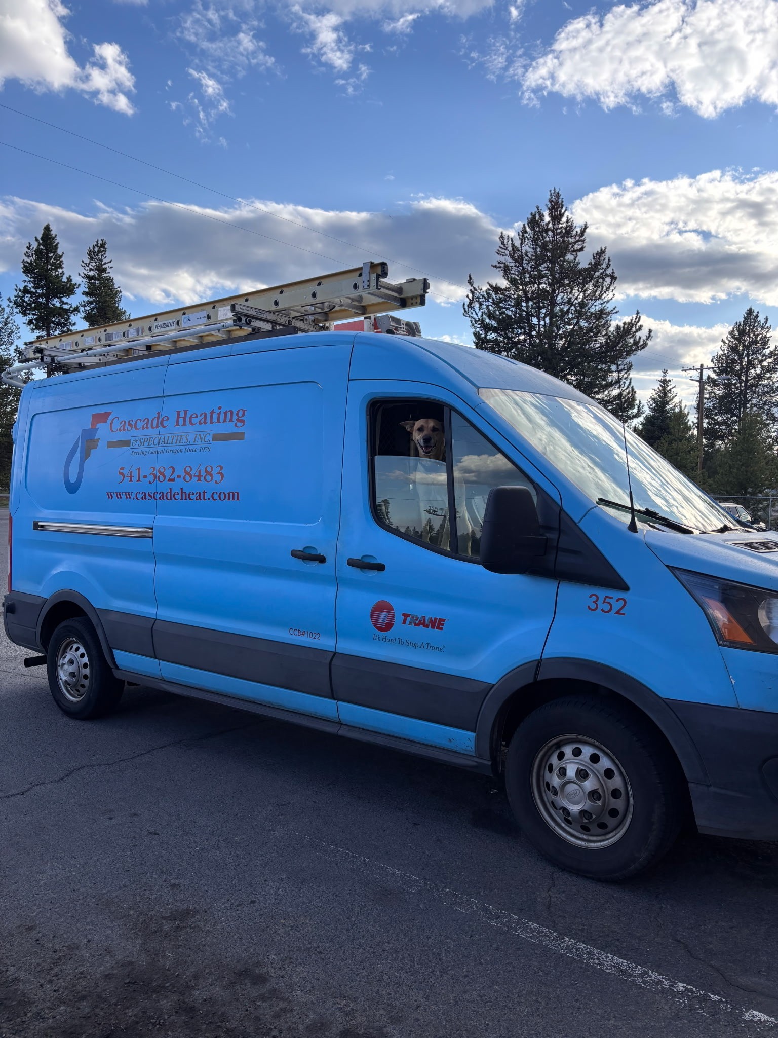 Look for our blue vans