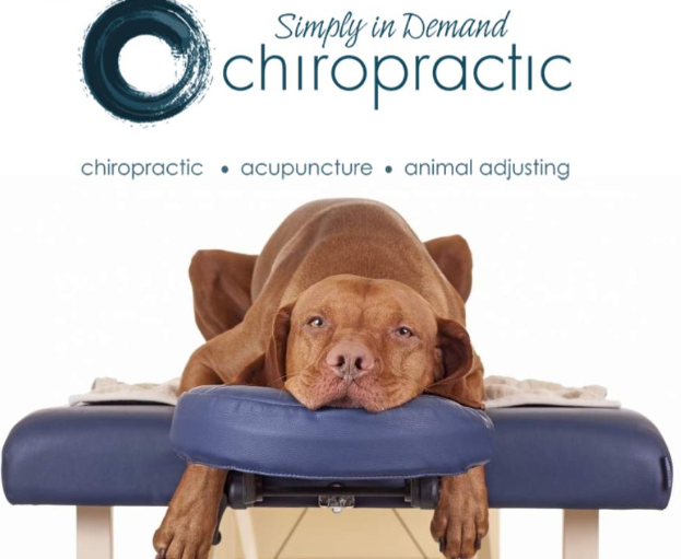 Images Simply In Demand Chiropractic - North Phoenix 85085