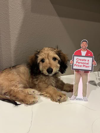 Images Tyler Jermstad - State Farm Insurance Agent