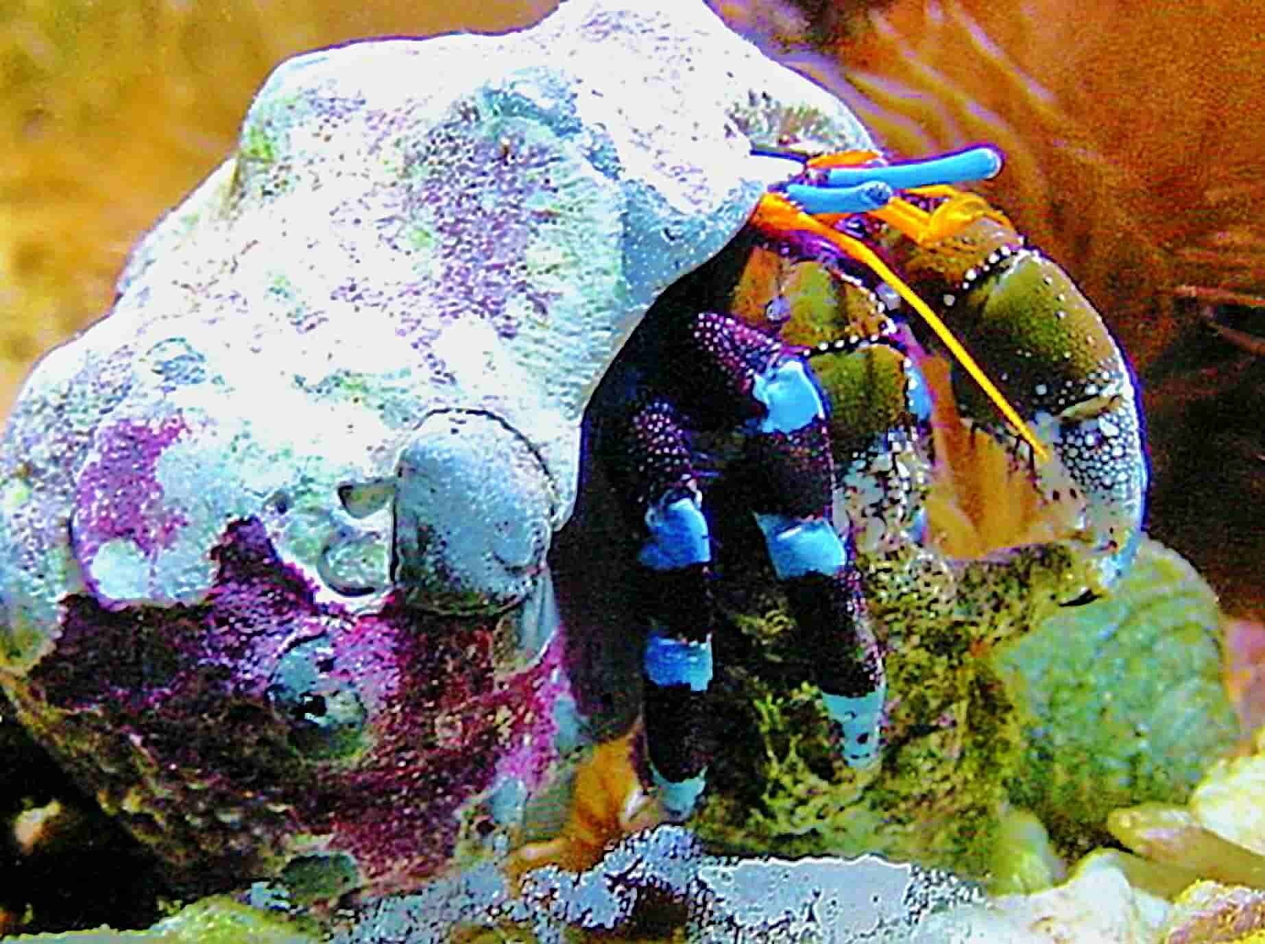 S&L Naturverlag, Bergrat-Mahr-Straße 17 in Ilmenau