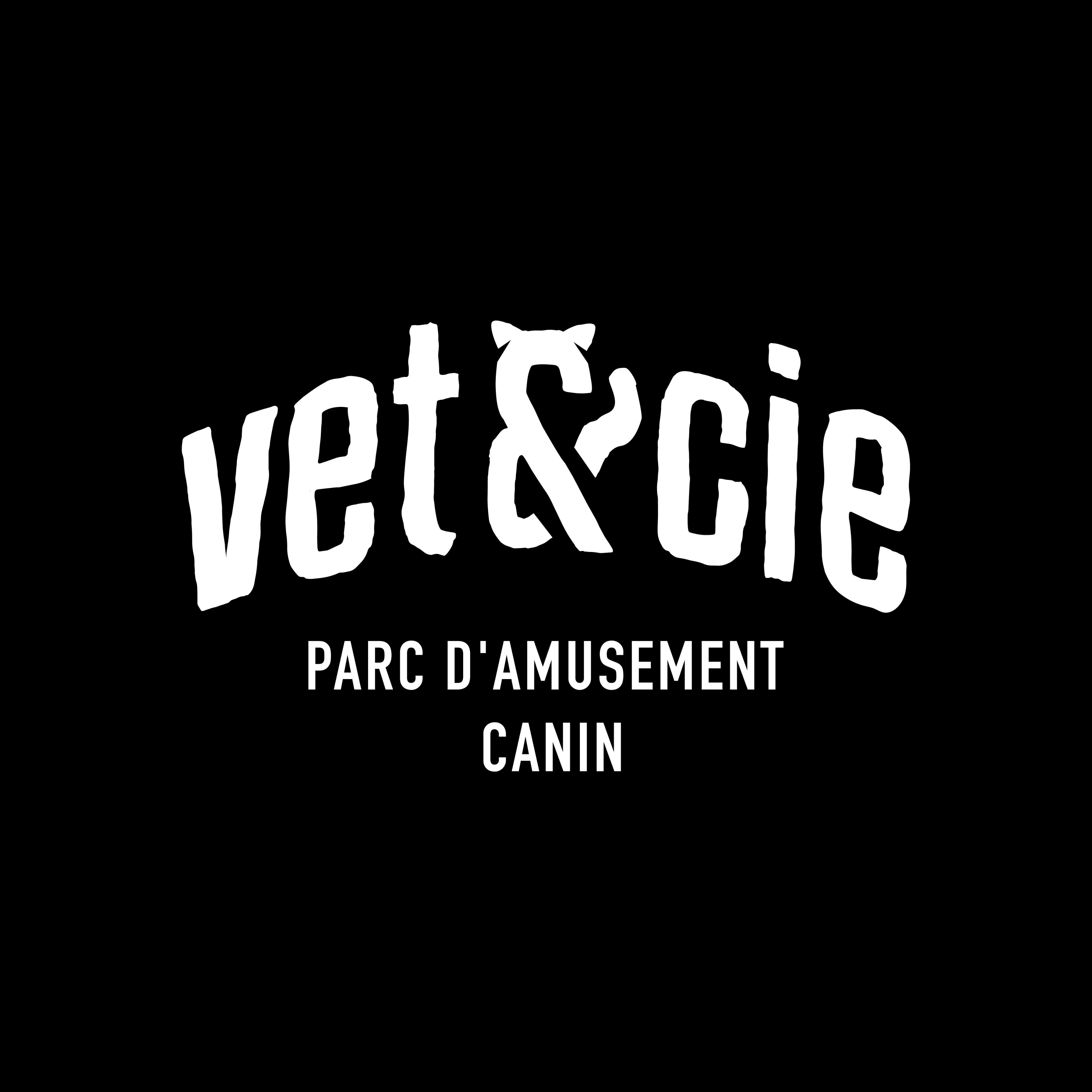 Images Vet & Cie Brossard | Vétérinaire indépendant & québécois, Toilettage, Parc canin, Urgences chiens et chats | Montérégie