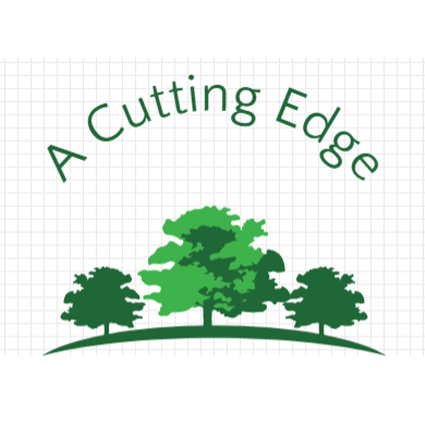 A Cutting Edge