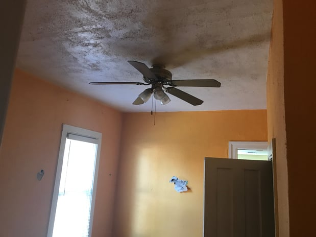 Images Rex Environmental