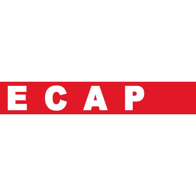 ECAP in Zürich