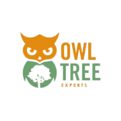 Owl Tree Experts