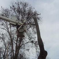 Images All Seasons Tree Service