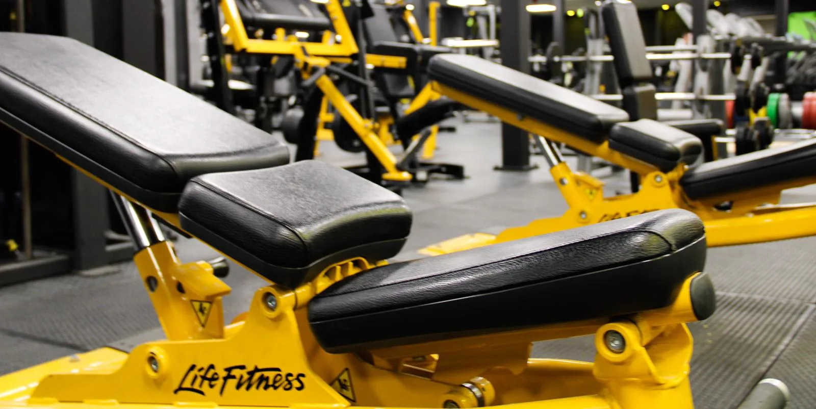 Images Ascend Gym Ltd