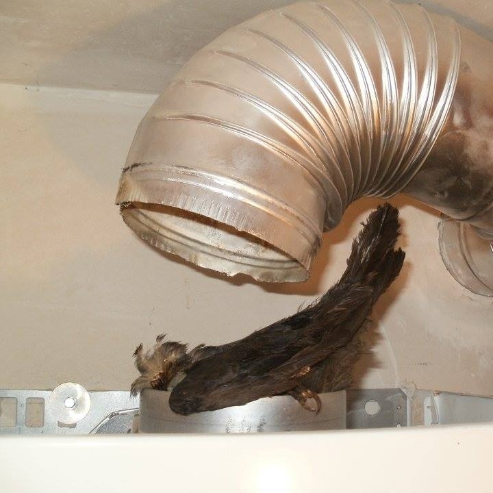 Images 't Roetventje