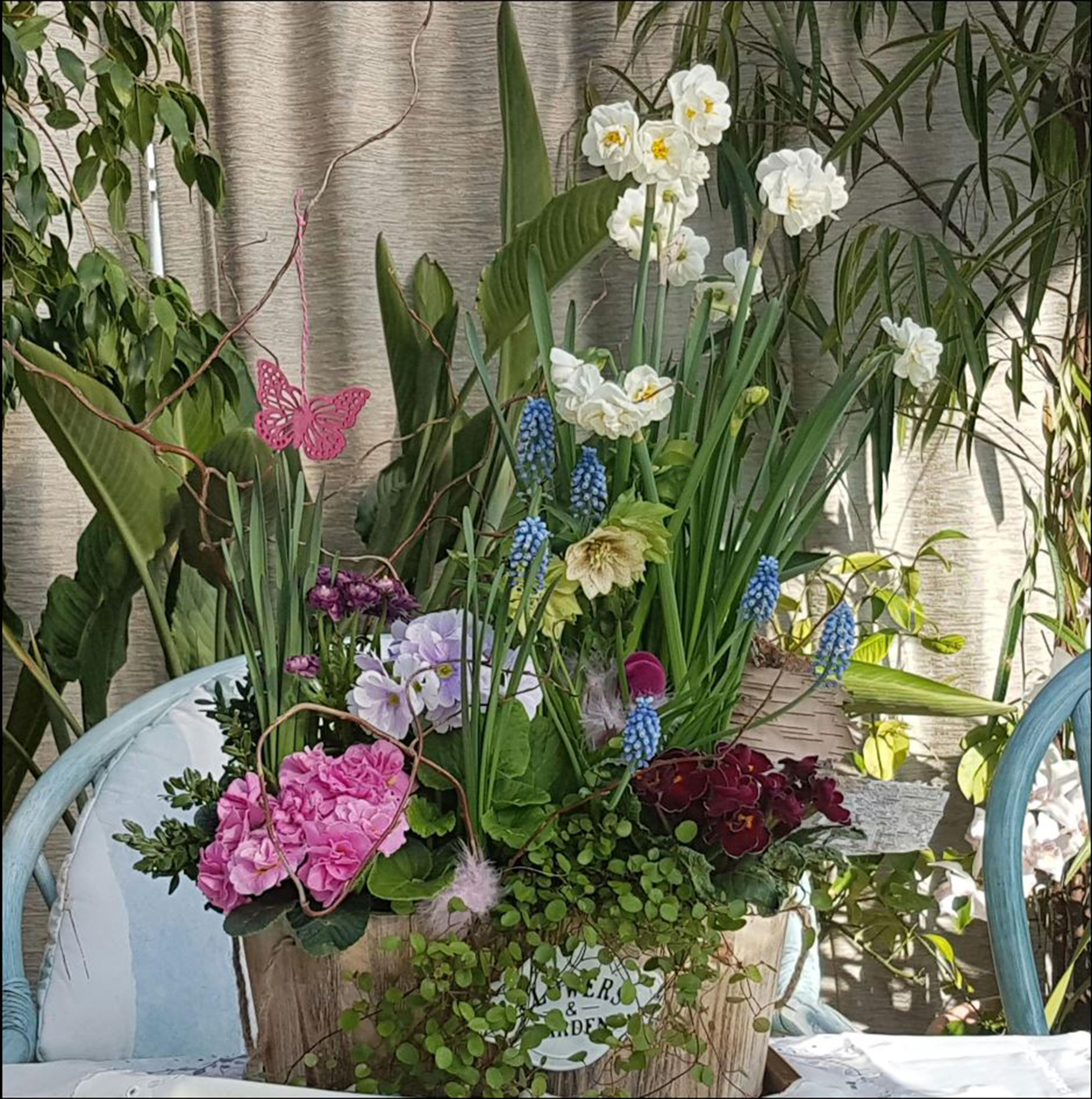 Bilder DK Floristik & Geschenkartikel Inh. Doreen Konczos