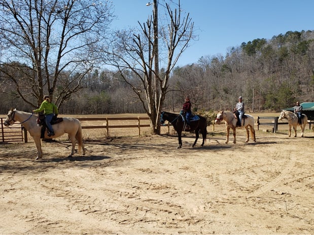 Images Riverside Riding Stables