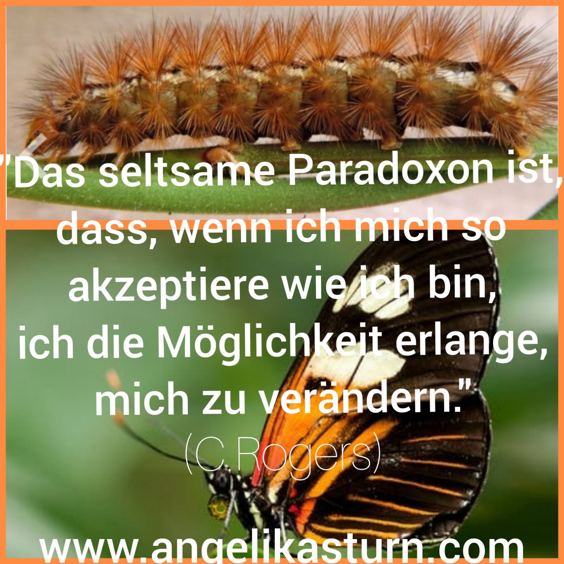 Psychotherapie - Traumatherapie & Supervision Angelika Sturn, Wehlistraße 244/5/22 in Wien