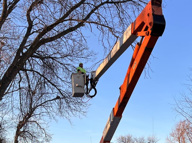 Images Wellman Tree Service