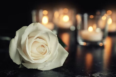 Oliver Reilly Funeral Director Ltd (Sallins) 4