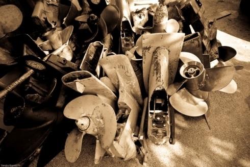 Images Pietrini Enzo e Figli