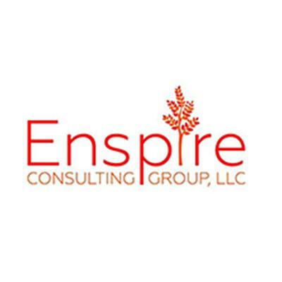 Enspire Consulting Group, LLC. Logo