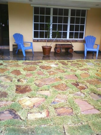 Images Jupiter Lawn Care