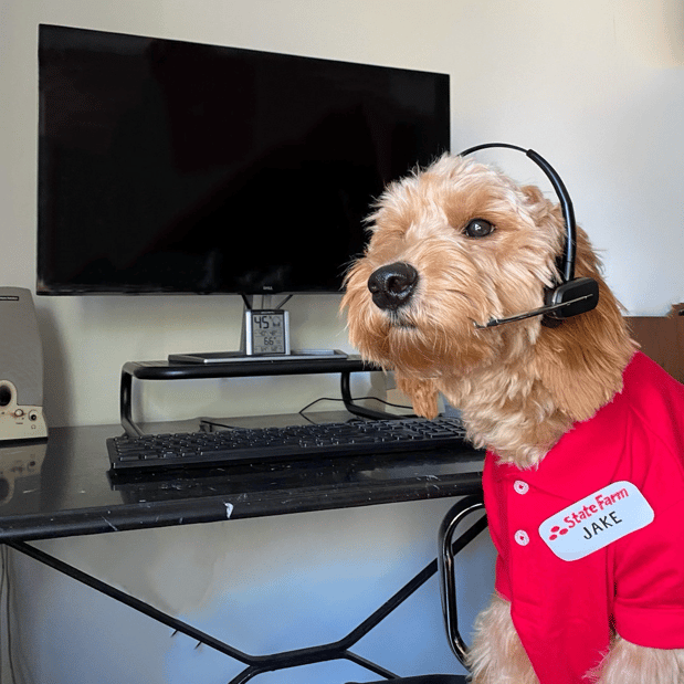 Images John Roman - State Farm Insurance Agent