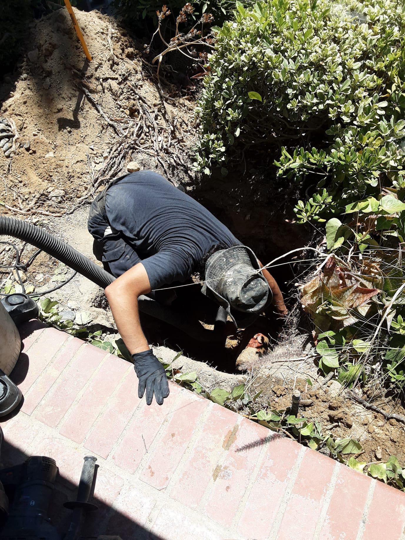 The Drain Cleaning specialists   From clogged sinks to street jobs - We do it all! Proudly serving the Los Angeles, Orange County and San Diego areas.