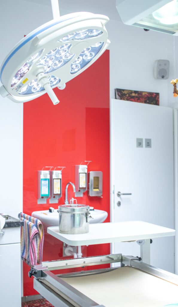 Bild 4 von Tierarztpraxis Kim-Dorn GmbH