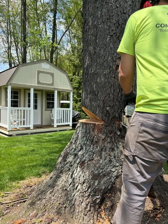 Images Newscape Forestry, LLC