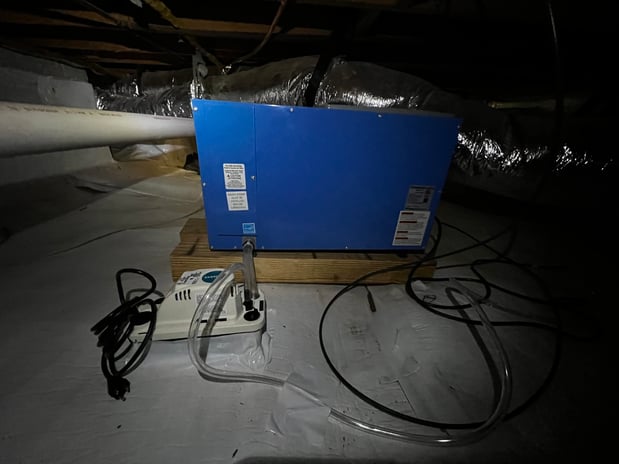 Images Ox Foundation Solutions