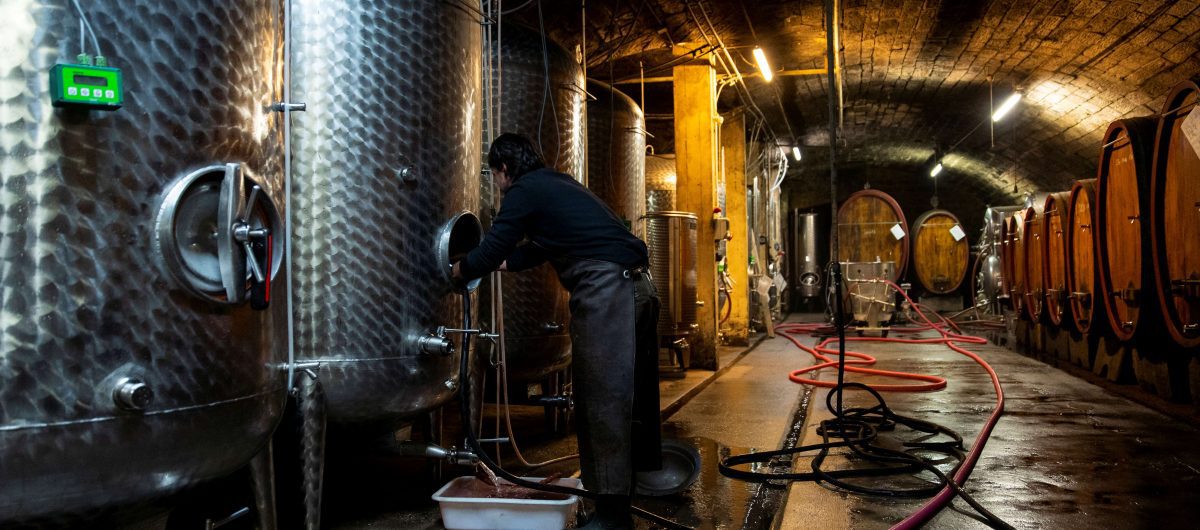 Weingut Wolf, Ungstein Kirchstraße 28 in Bad Dürkheim