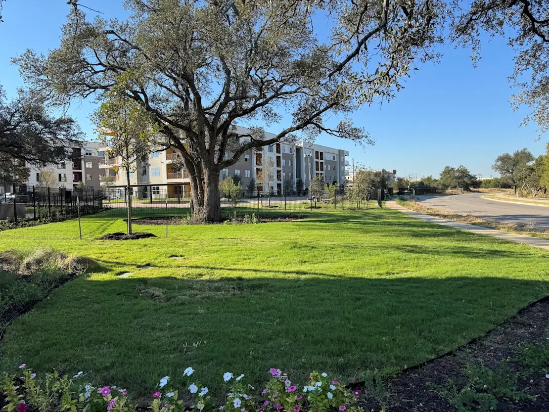 Dog park