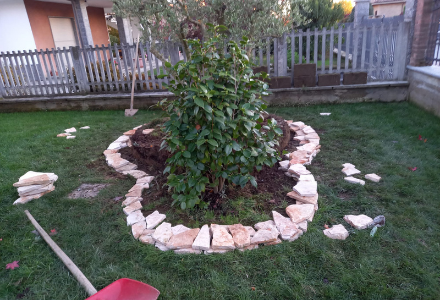 Images Il Giardiniere Cacciolatti Enrico