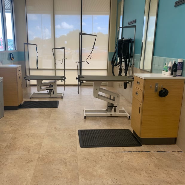 Images Petco Grooming