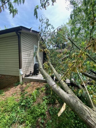 Images O'Brien Outdoors Tree Service