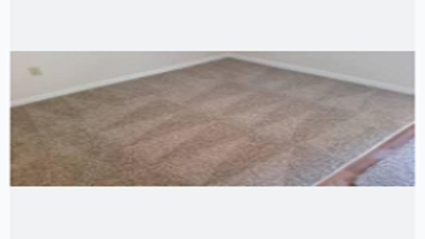 Images DanCare Carpet Cleaning