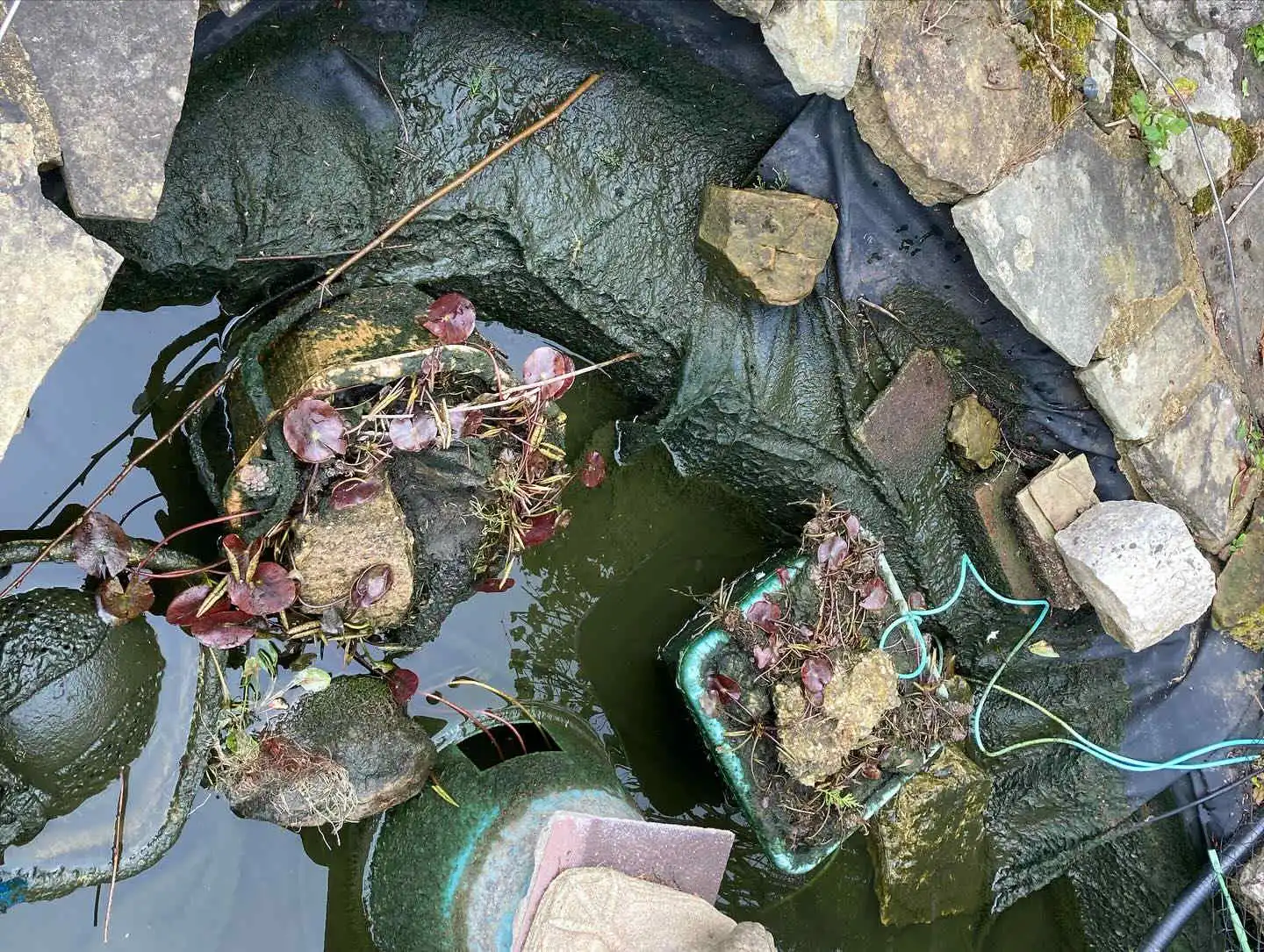 Images SJH Ponds & Aquariums