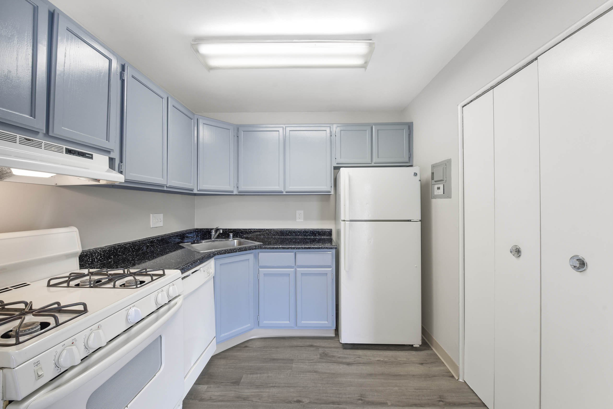 Modern Kitchen