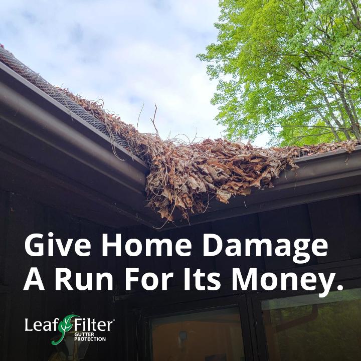 LeafFilter Gutter Protection Peoria (800)290-6106